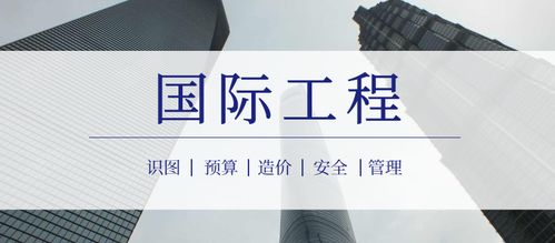 项目组合管理在国际工程总承包企业中的应用